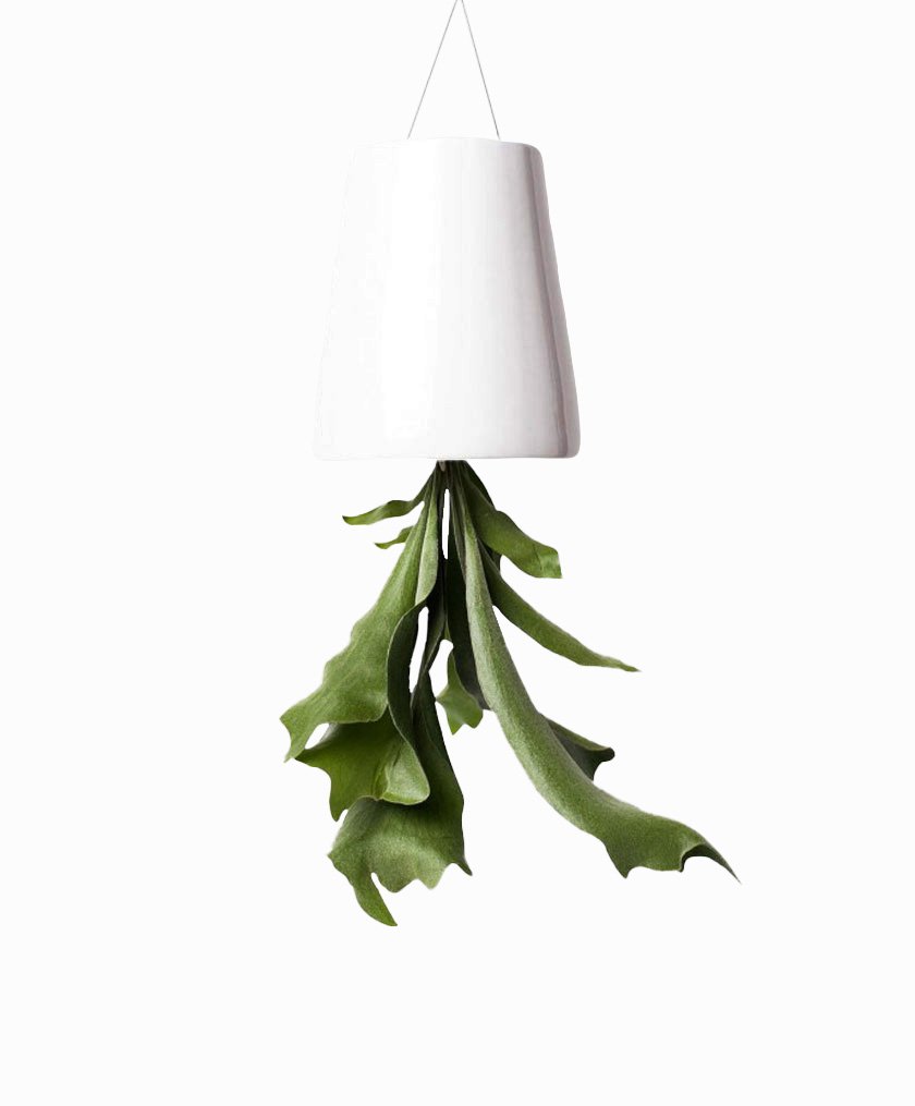 yes_087_hanging_planter_3-1340×785